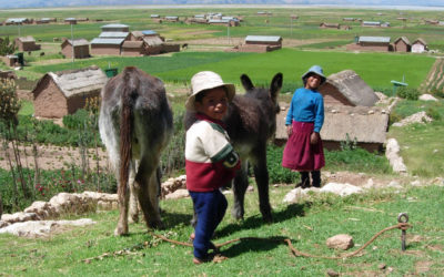 Dedicated to Ending Extreme Poverty in the Peruvian Highland Villages