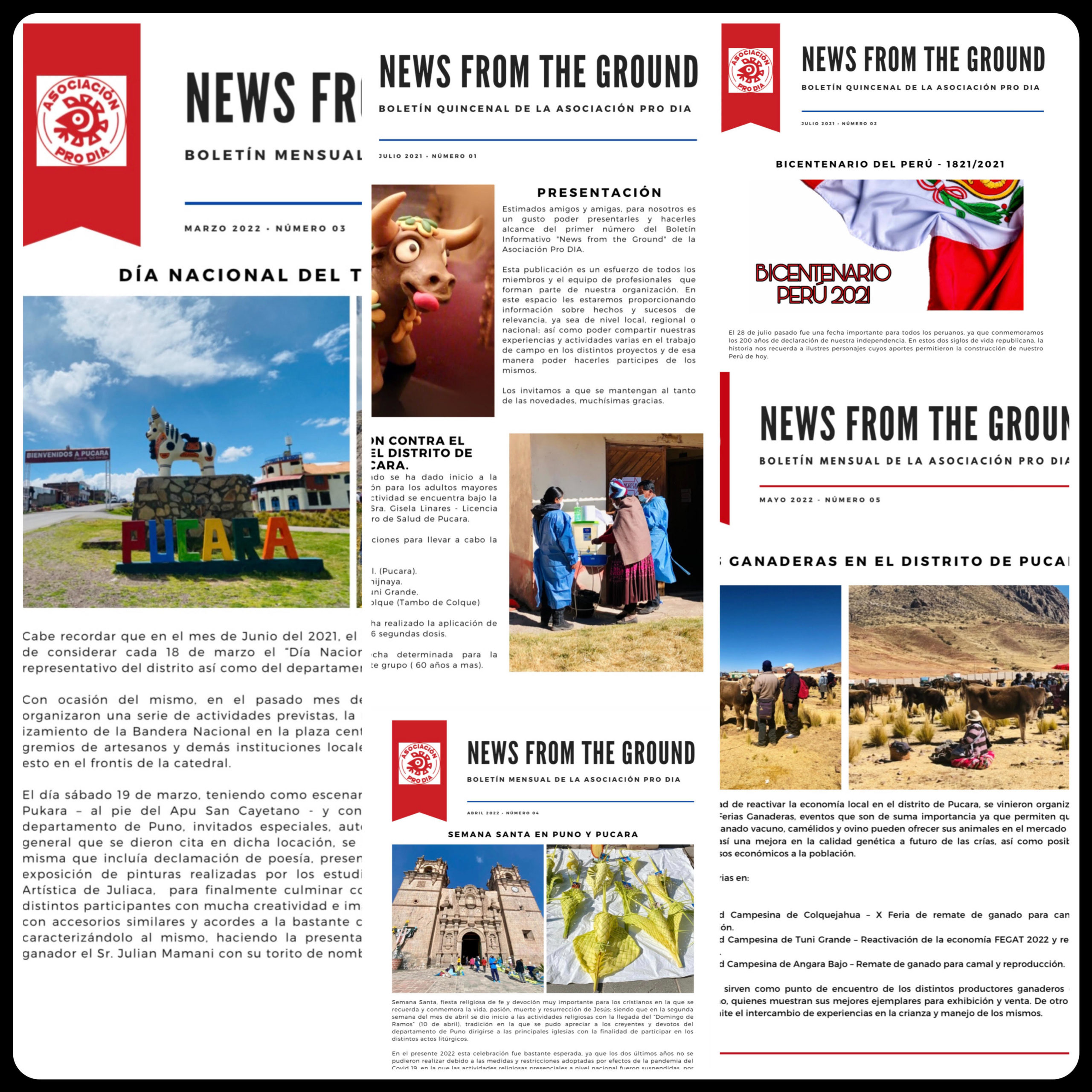 Collage of newsletters